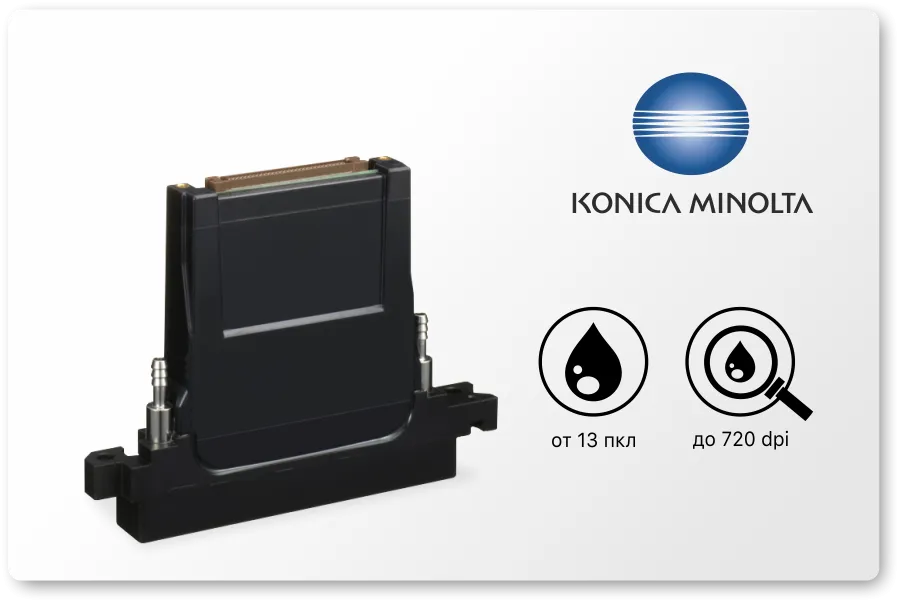 Kotika.png Kotika.png