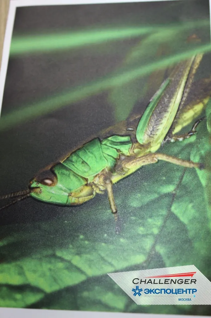 015.jpg 015.jpg